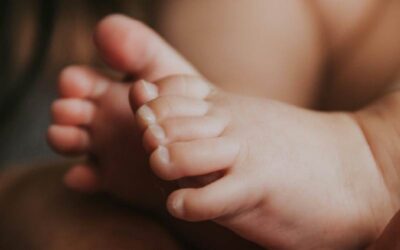 Babybegeleiding